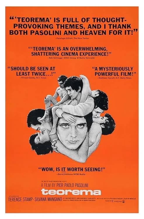 Teorema film posteri