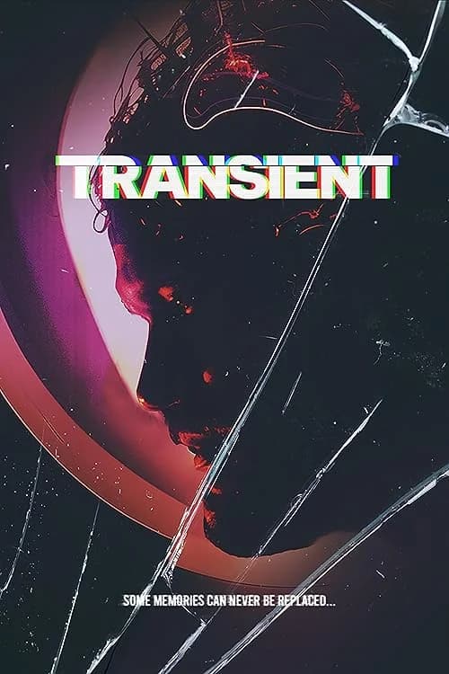 Transient film posteri